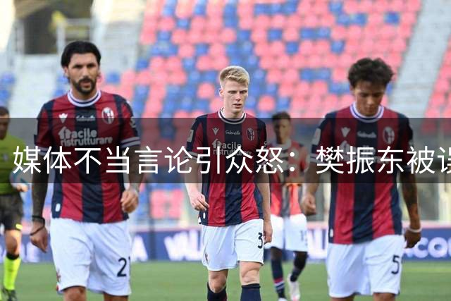 媒体不当言论引众怒：樊振东被误指"外协选手"遭抗议