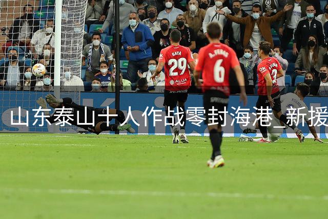 山东泰山十人作战零封海港 新援泽卡闪电破门立头功