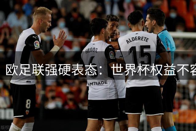 欧足联强硬表态：世界杯权益不容商业染指