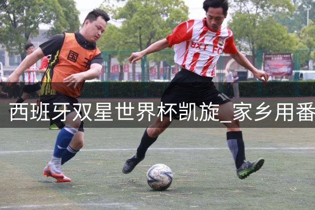 西班牙双星世界杯凯旋 家乡用番茄山和球场更名献礼